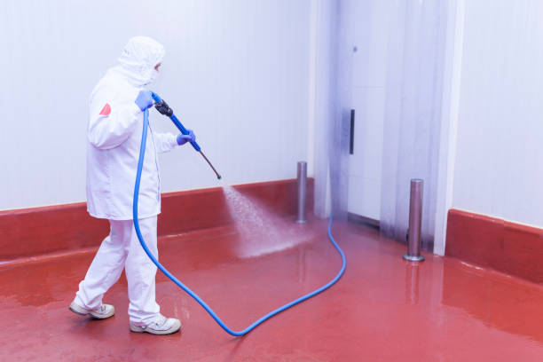 Solar Panel Cleaning in Brownsville, OR
